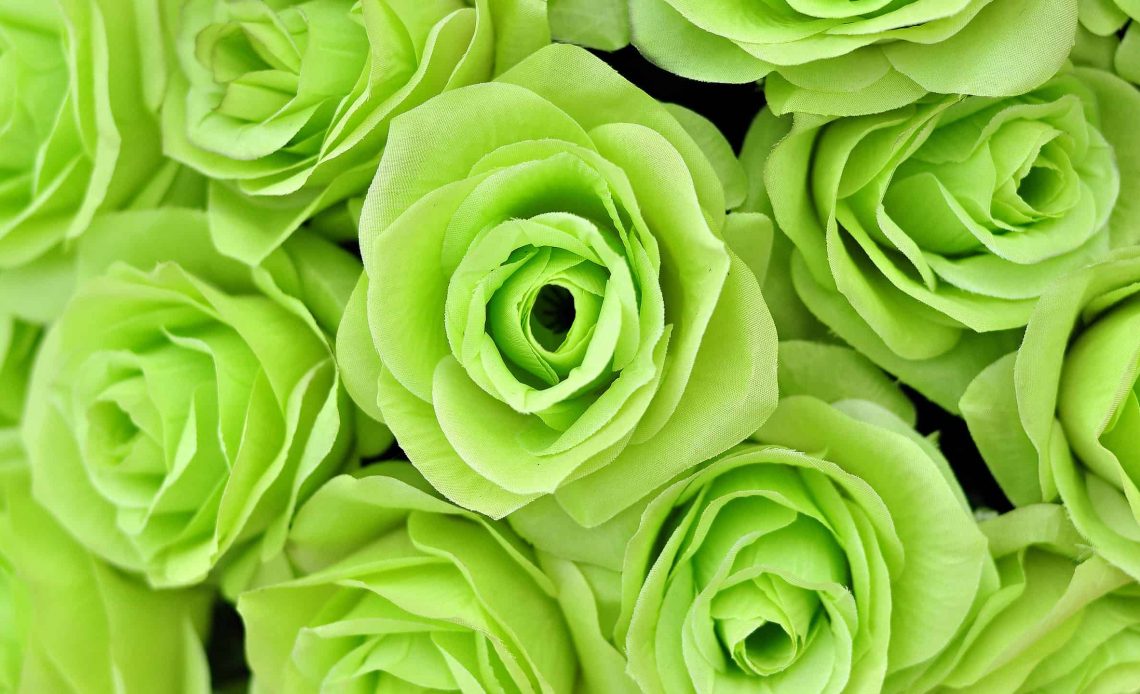Green Flowers Meaning