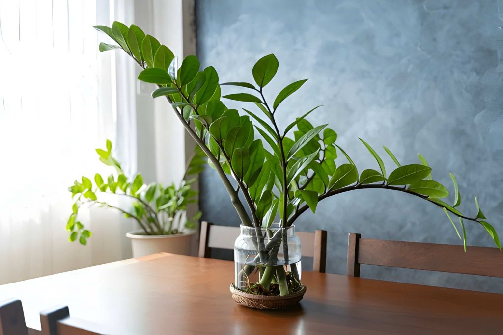 The Easiest 10 Indoor Plants that Low Light