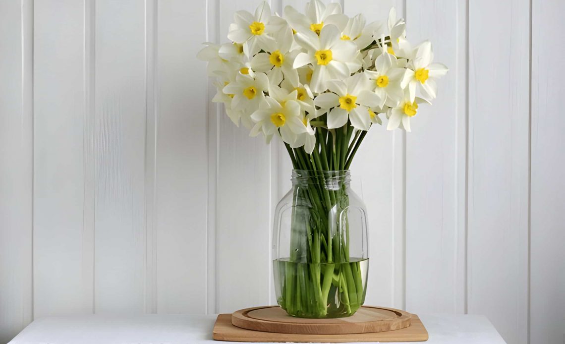 Daffodil Meaning